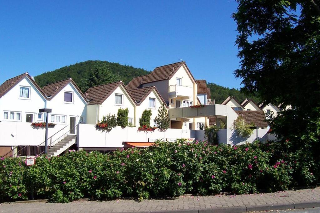 Seeblick Geniessen In Schoener Fewo Am Edersee Scheid  Экстерьер фото